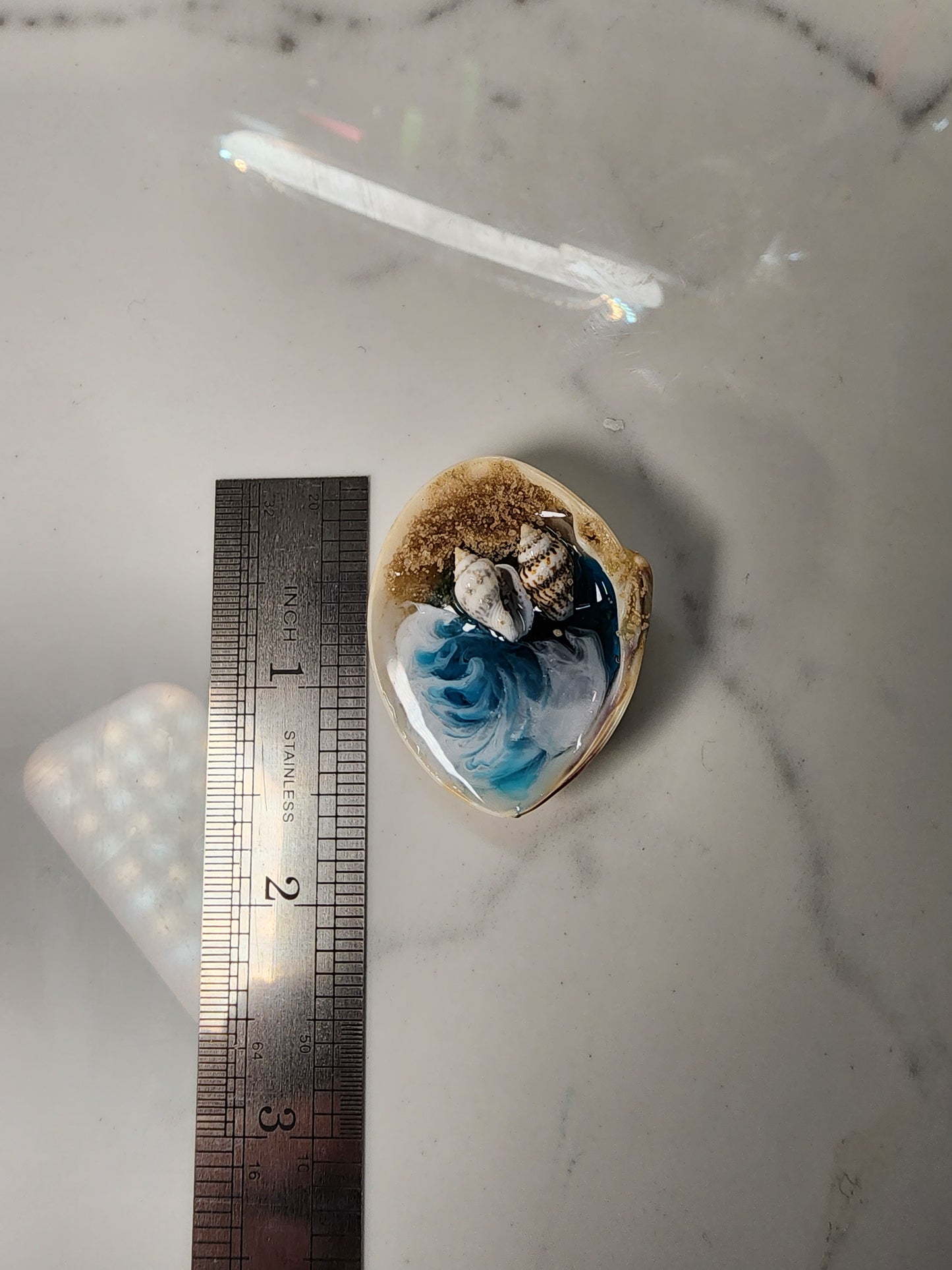 Mini Beach Scene inside a seashell