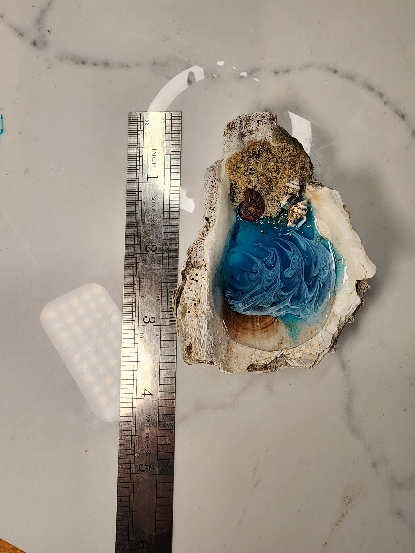 Tiny Beach inside an Oyster Shell Mini Art