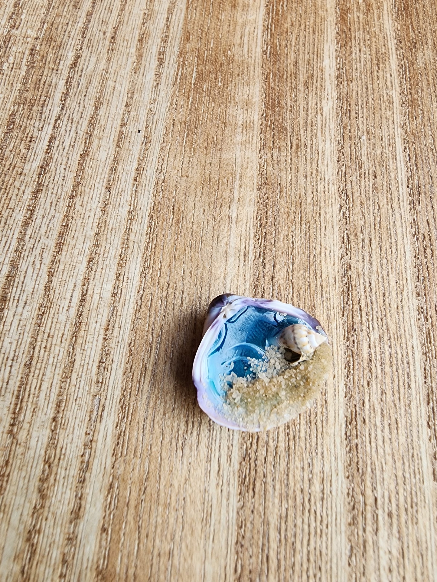 Tiny Sea shell Beach Scene