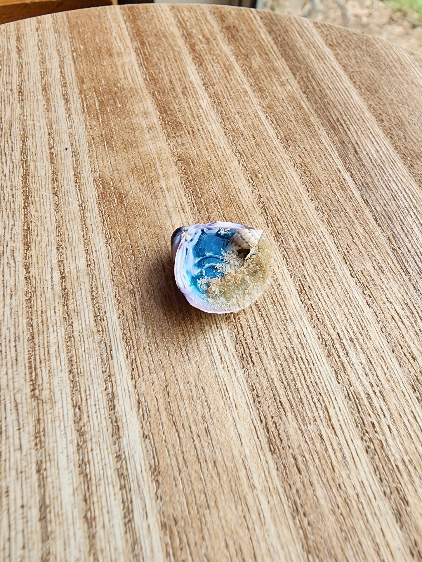 Tiny Sea shell Beach Scene