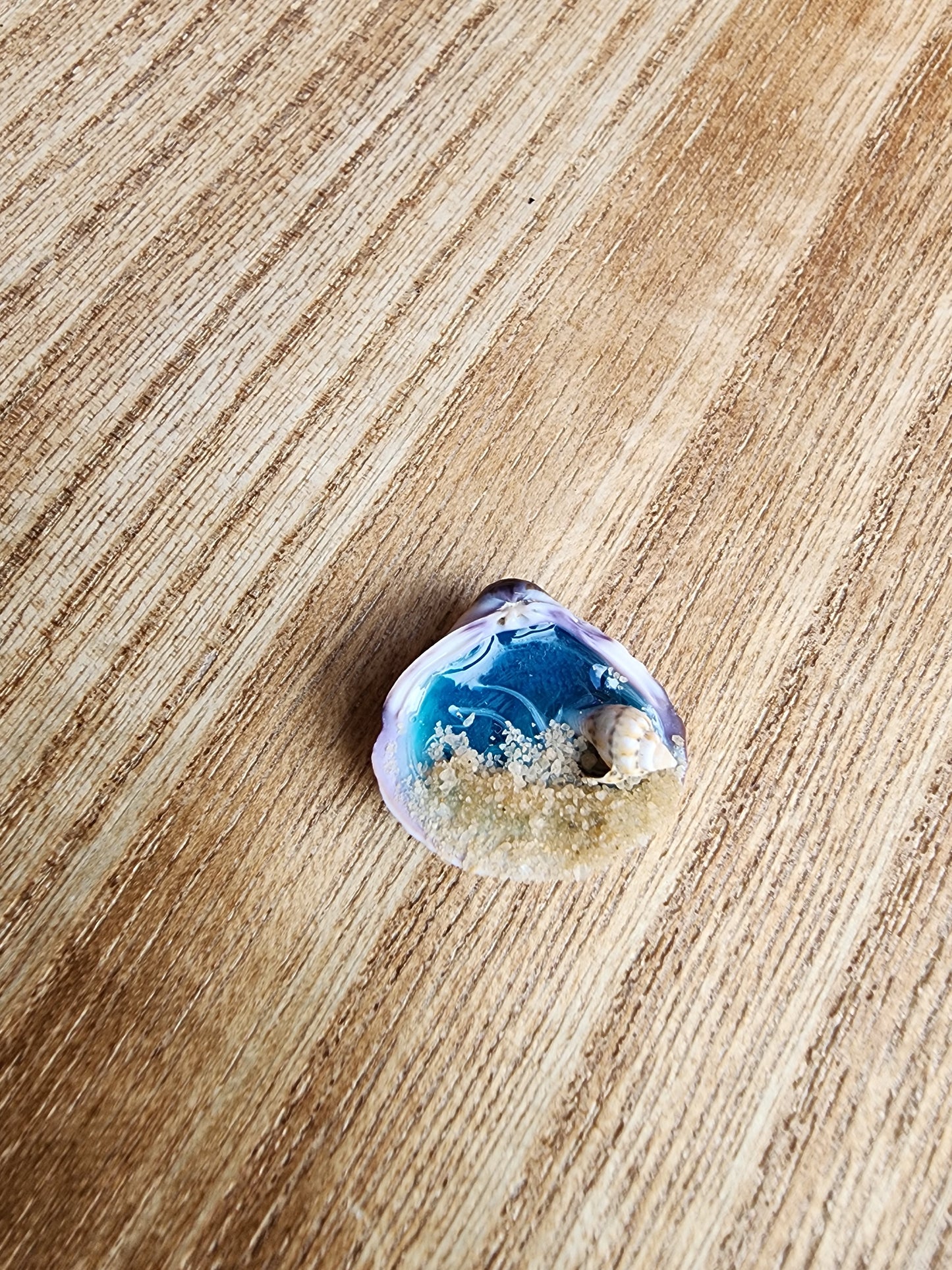 Tiny Sea shell Beach Scene