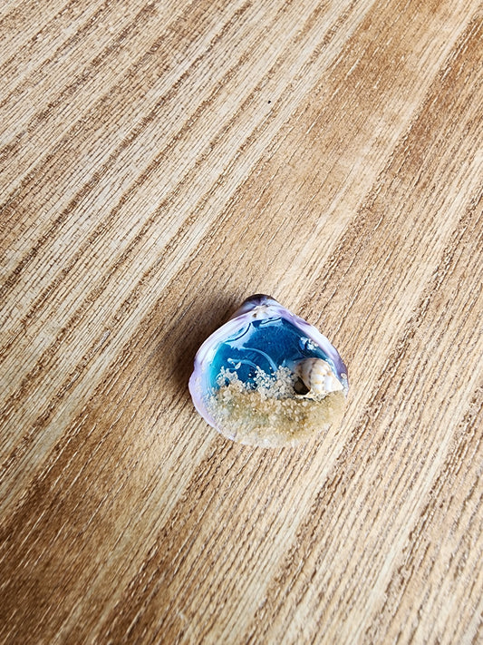 Tiny Sea shell Beach Scene