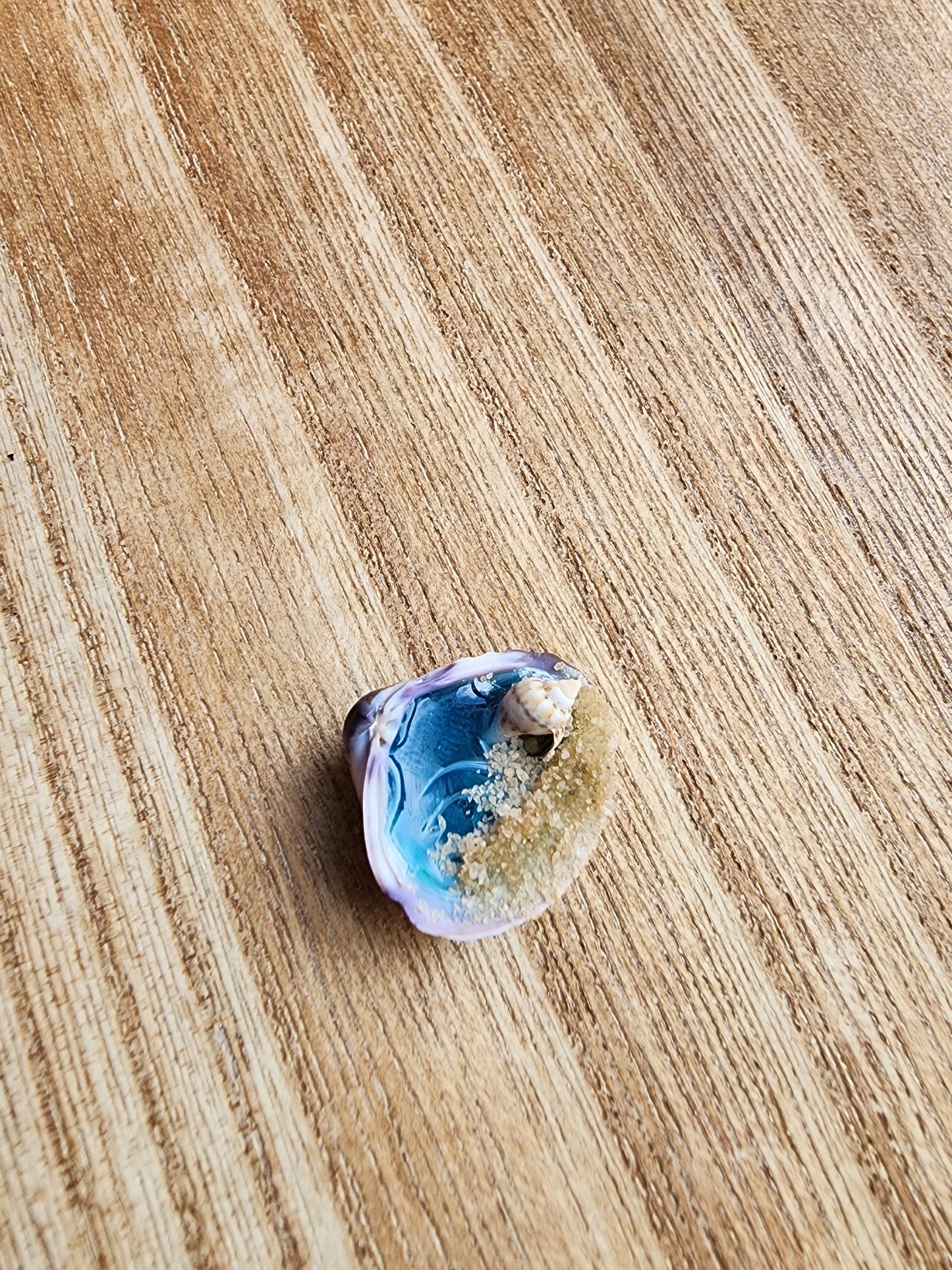 Tiny Sea shell Beach Scene